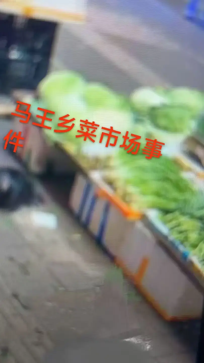 《重庆马王乡菜市场事件完整版一手视频》