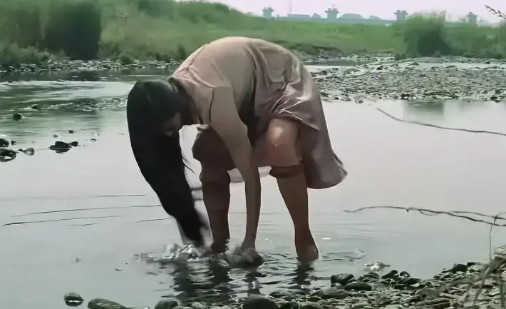 《芦苇地狱》